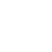 project-09-icon-warehousing